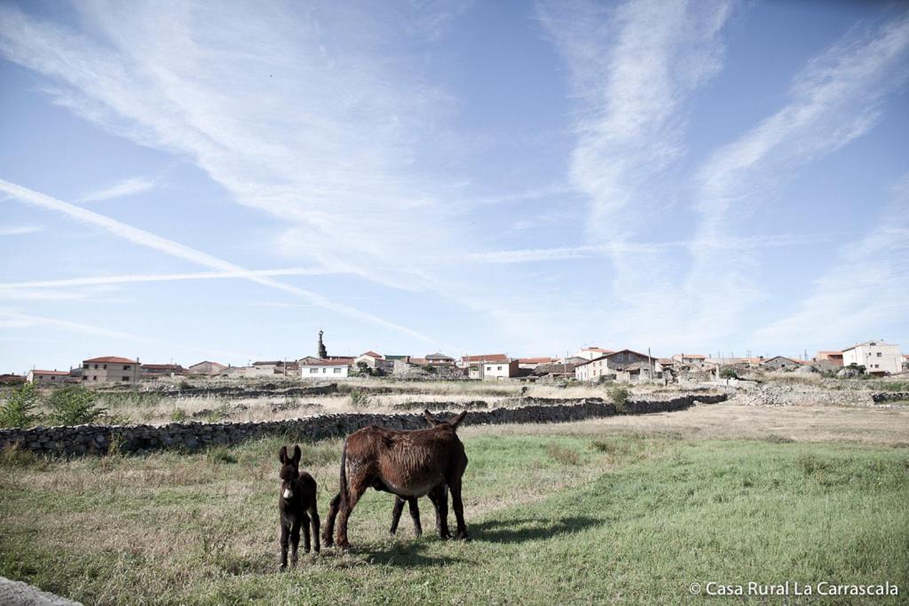 Casa Rural La Carrascala Zamora Bagian luar foto