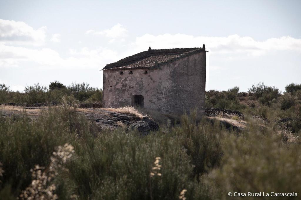 Casa Rural La Carrascala Zamora Bagian luar foto